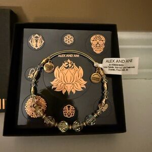 Alex and Ani Color Palette, Adorned with Swarovski
Crystals, Frost NWT